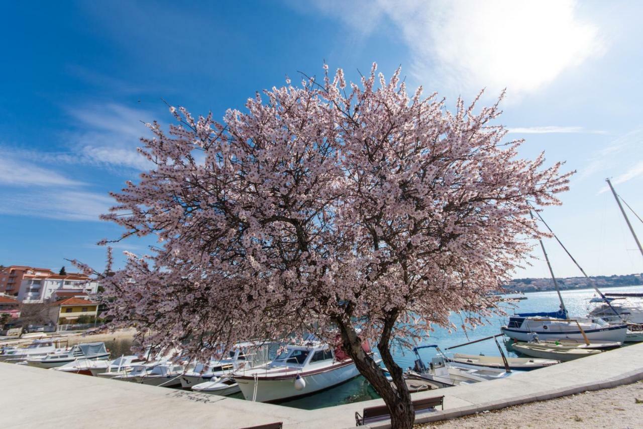 Apartmani Island トロギール エクステリア 写真